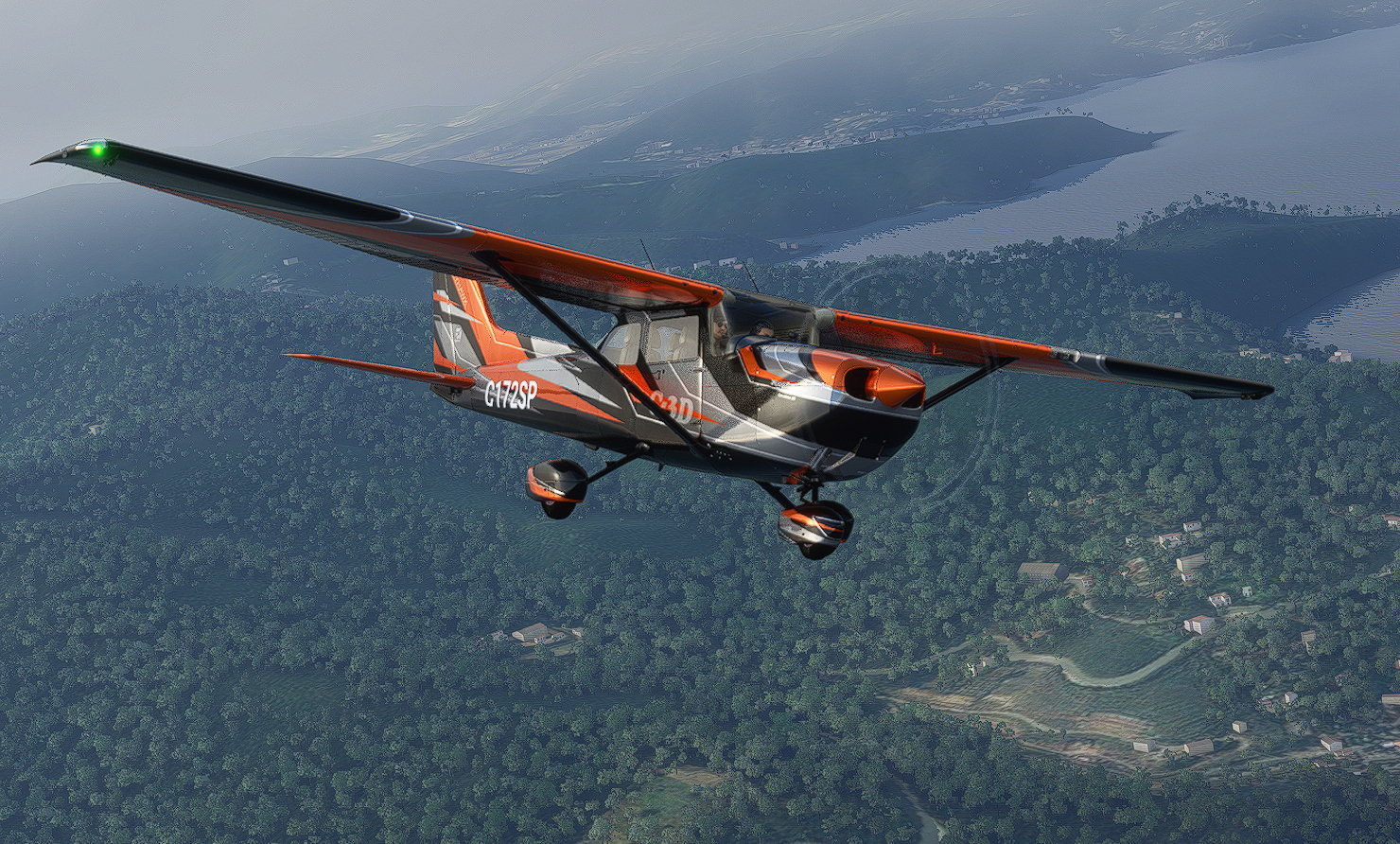 C172 Classic C-3D - Image 1