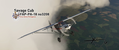FAP PA-18 no3208