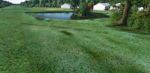 CSL5 - St-Victor-De-Beauce thumbnail 9