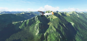 New Zealand Bush Adventure! thumbnail 6