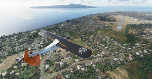 New Zealand Bush Adventure! thumbnail 11