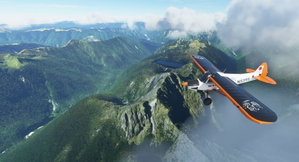 New Zealand Bush Adventure! thumbnail 7