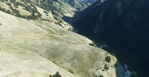XID1 Yellowjacket Ranch Idaho thumbnail 3