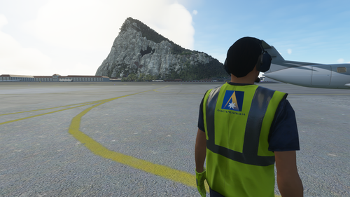 [Ground Handling] Ansett Australia Textures