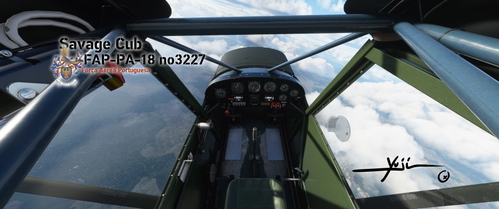 FAP PA-18 no3227