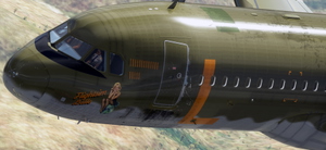 FlightSim Belle thumbnail 3