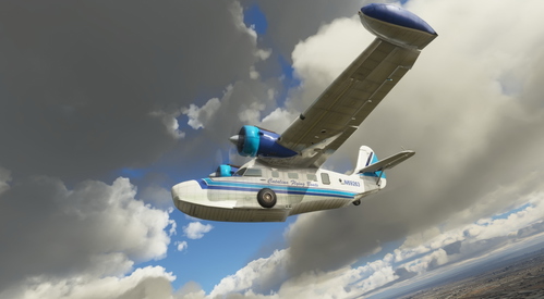 Grumman Goose N69263 Catalina Flying Boats
