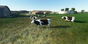 EDOH Langhennersdorf thumbnail 13