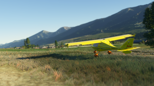 Flight Design CTSL Tweety