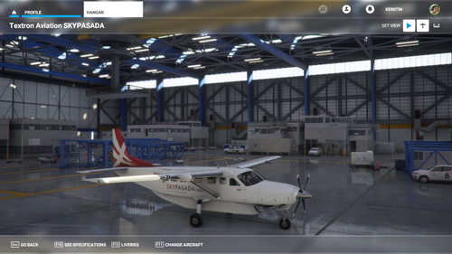 Sky Pasada C208
