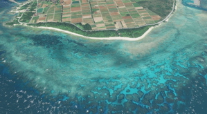 RORA Aguni Airport thumbnail 10
