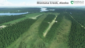 Montana Creek, Alaska (21AK) thumbnail 4