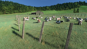 Campo Volo thumbnail 13