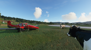 Italian Alps Tour 2021 thumbnail 8