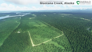 Montana Creek, Alaska (21AK) thumbnail 8
