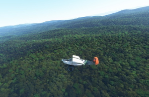 rhumbaflappy-vegetation + TrueTreesNZ_v2.0 thumbnail 11