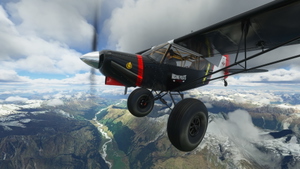 Discover New Zealand Bush Trip  thumbnail 8