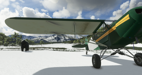Savage Cub & Carbon Cub livery - Bear Attack!
