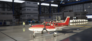 Beechcraft Baron G58 Two tone Stripe 12 Colour Pack thumbnail 6