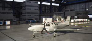 Beechcraft Baron G58 Two tone Stripe 12 Colour Pack thumbnail 12