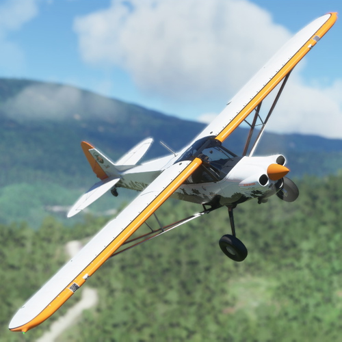 Bush Divers VA -  X-Cub Livery 