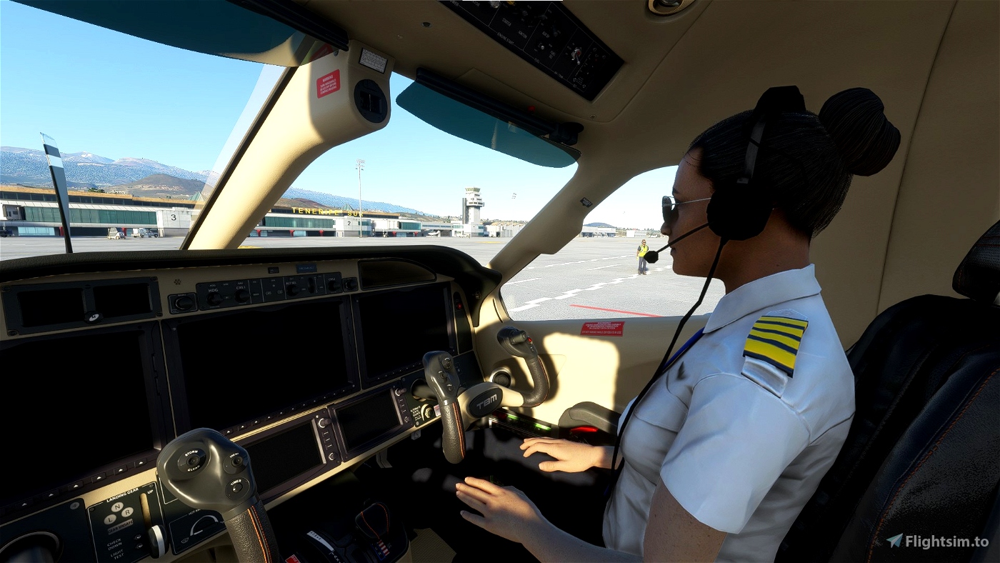 Add Co-pilot to your cockpit (Standard Edition) Microsoft Flight Simulator