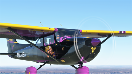 Cessna 172 (G1000) Kobe/Gigi Tribute(MAMBA)