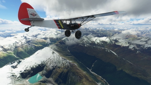 Discover New Zealand Bush Trip  thumbnail 7