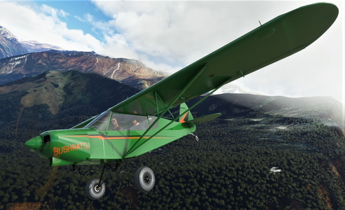 NC76 SavageCub Striped Livery
