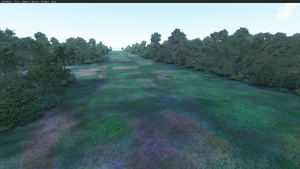 Bush Divers VA - WITU Airstrip - Garove Island, West New Britain, PAPUA NEW GUINEA thumbnail 3