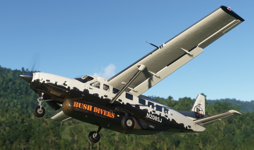 Bush Divers VA -  Cessna 208B Livery