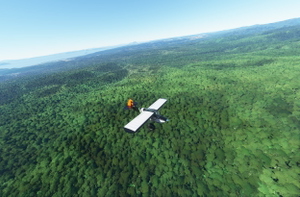 rhumbaflappy-vegetation + TrueTreesNZ_v2.0 thumbnail 4