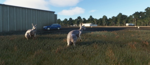 YDUN Dunwich Airfield thumbnail 10