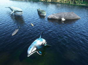 Dave's 3D animals Library thumbnail 1