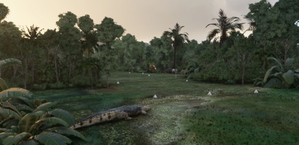 AYRJ - Mariama Airstrip - Papua New Guinea thumbnail 7