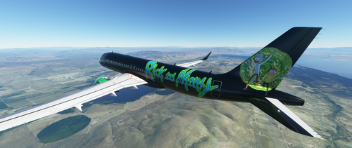 Rick and Morty A320 Neo