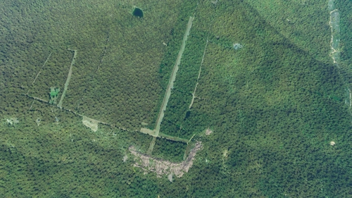 AR05 - John Harris Field