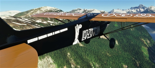 NC76 Xcub LedBalloon Livery