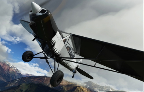 NC76 SavageCub GetWild Livery