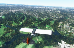 rhumbaflappy-vegetation + TrueTreesNZ_v2.0 thumbnail 3