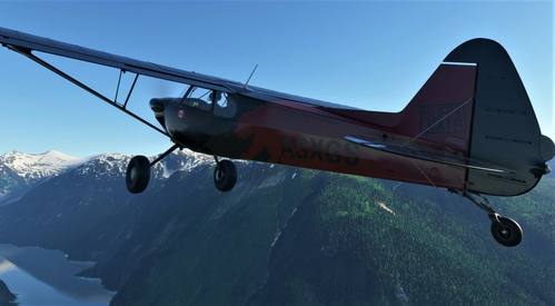 NC76 Xcub FlyingHigh Livery