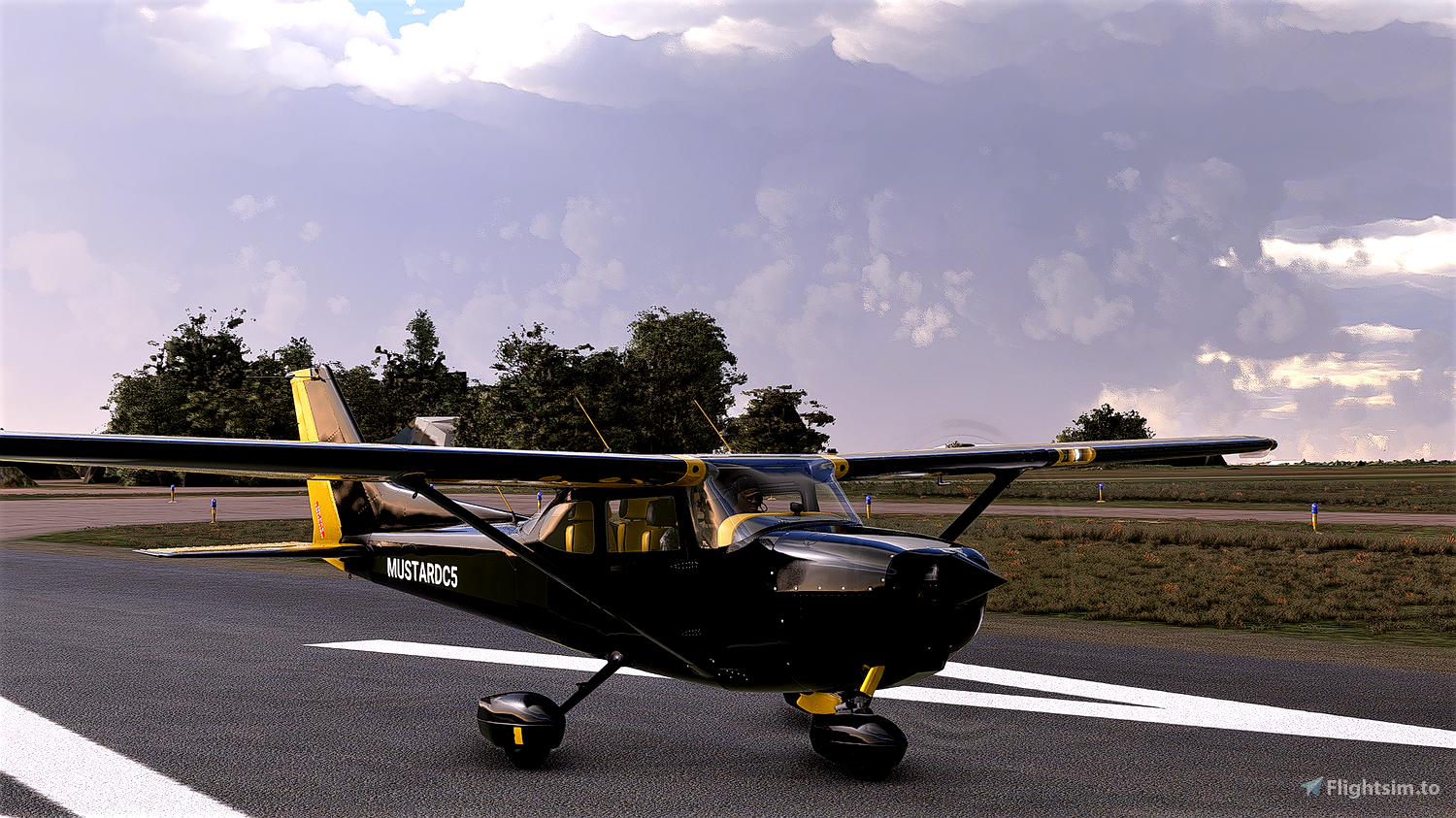 Cessna 172 Liveries for Microsoft Flight Simulator | MSFS | Flightsim.to