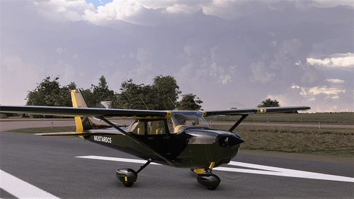 Cessna 172 (G1000) Yellow On Black(Mustard) with Carbon Panel