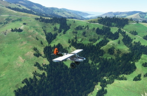 rhumbaflappy-vegetation + TrueTreesNZ_v2.0 thumbnail 8
