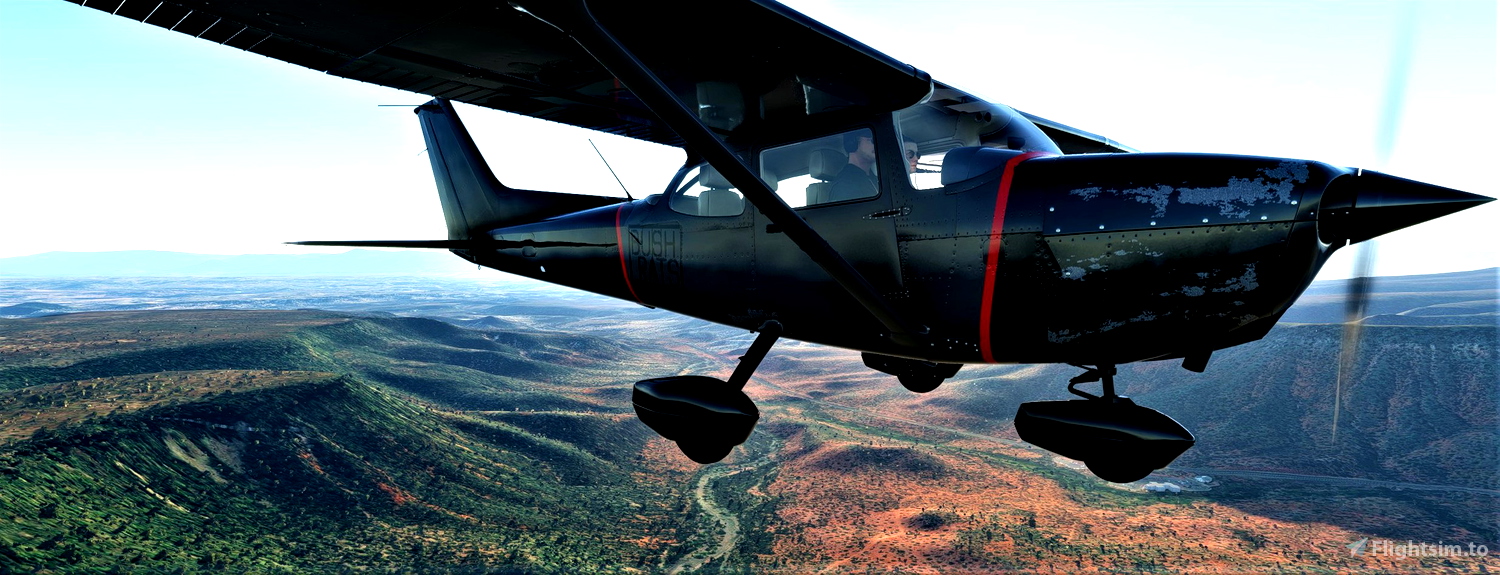 Cessna 172 Liveries for Microsoft Flight Simulator | MSFS | Flightsim.to