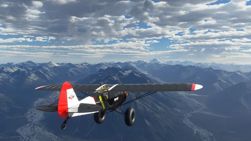 Discover New Zealand Bush Trip 