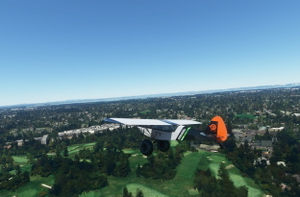 rhumbaflappy-vegetation + TrueTreesNZ_v2.0 thumbnail 18