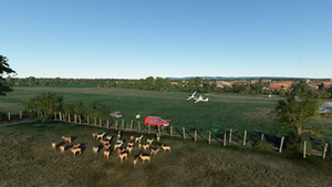 Zellhausen Glider Site thumbnail 3
