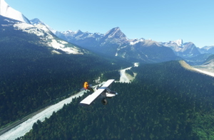 rhumbaflappy-vegetation + TrueTreesNZ_v2.0 thumbnail 10