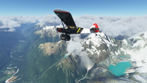 Discover New Zealand Bush Trip  thumbnail 6